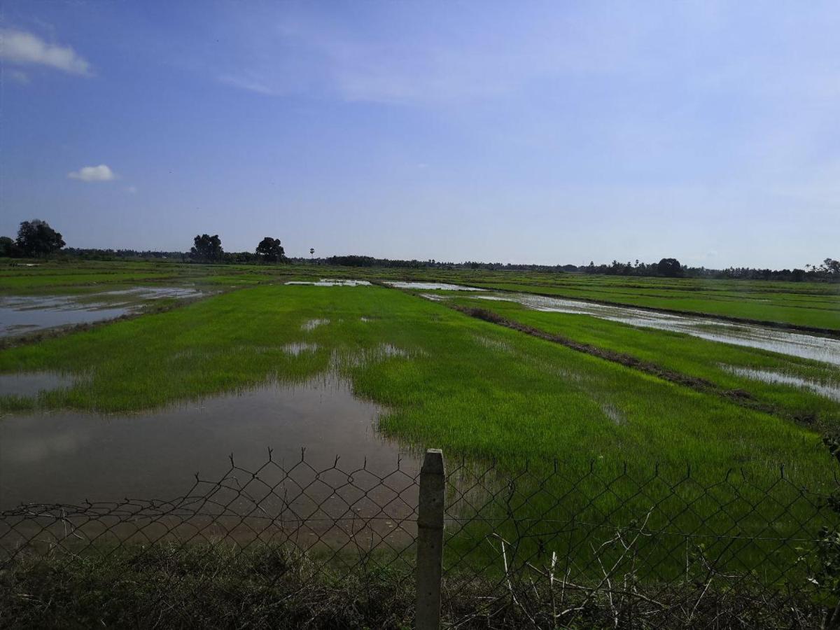 Ummi'S Homestay Besut Kampung Kuala Besut Esterno foto